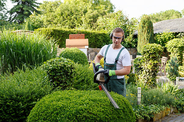 Leaf Removal in Floris, VA